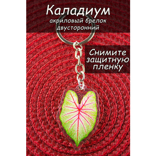 Брелок, глянцевая фактура, зеленый, красный