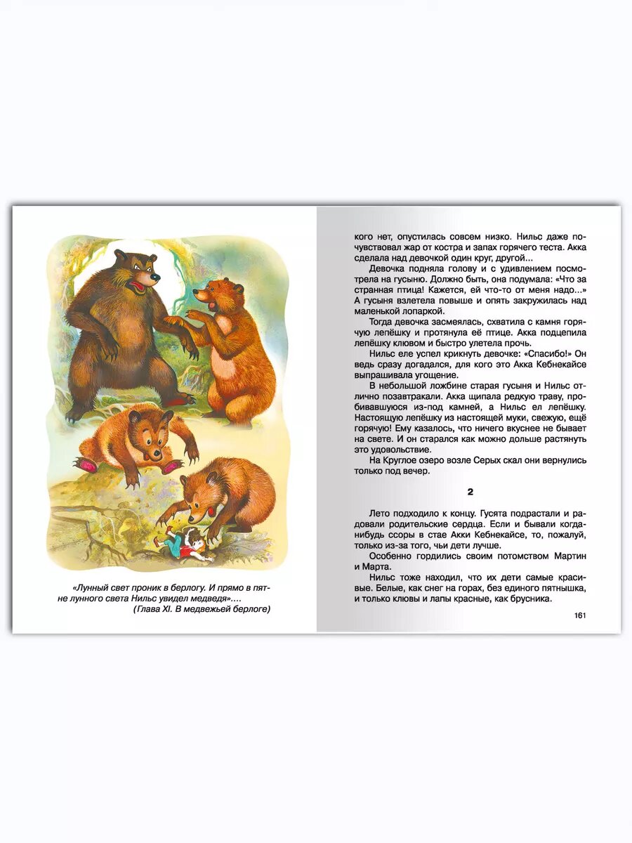 Книга Чудесное путешествие Нильса с дикими гусями - фото №14
