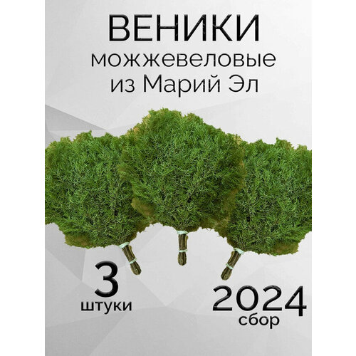 Можжевеловые банные веники из Марий-Эл, 3 шт в коробке