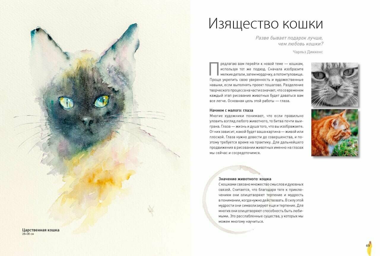 Животные акварелью от Джин Хэйнс. Медитативное рисование для контакта с собой и природой - фото №7