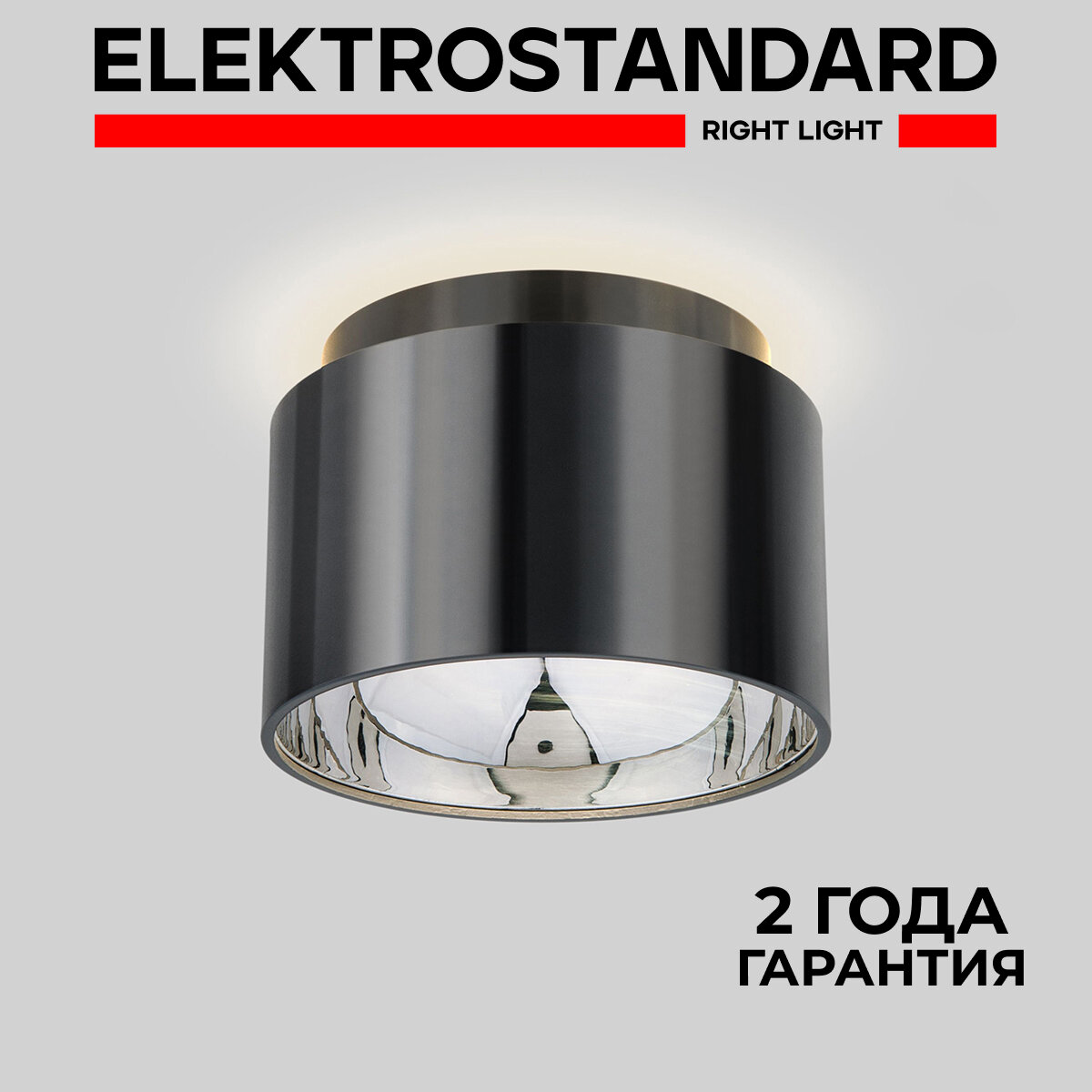 фото Потолочный светильник Elektrostandard 1069 GX53 WH белый матовый