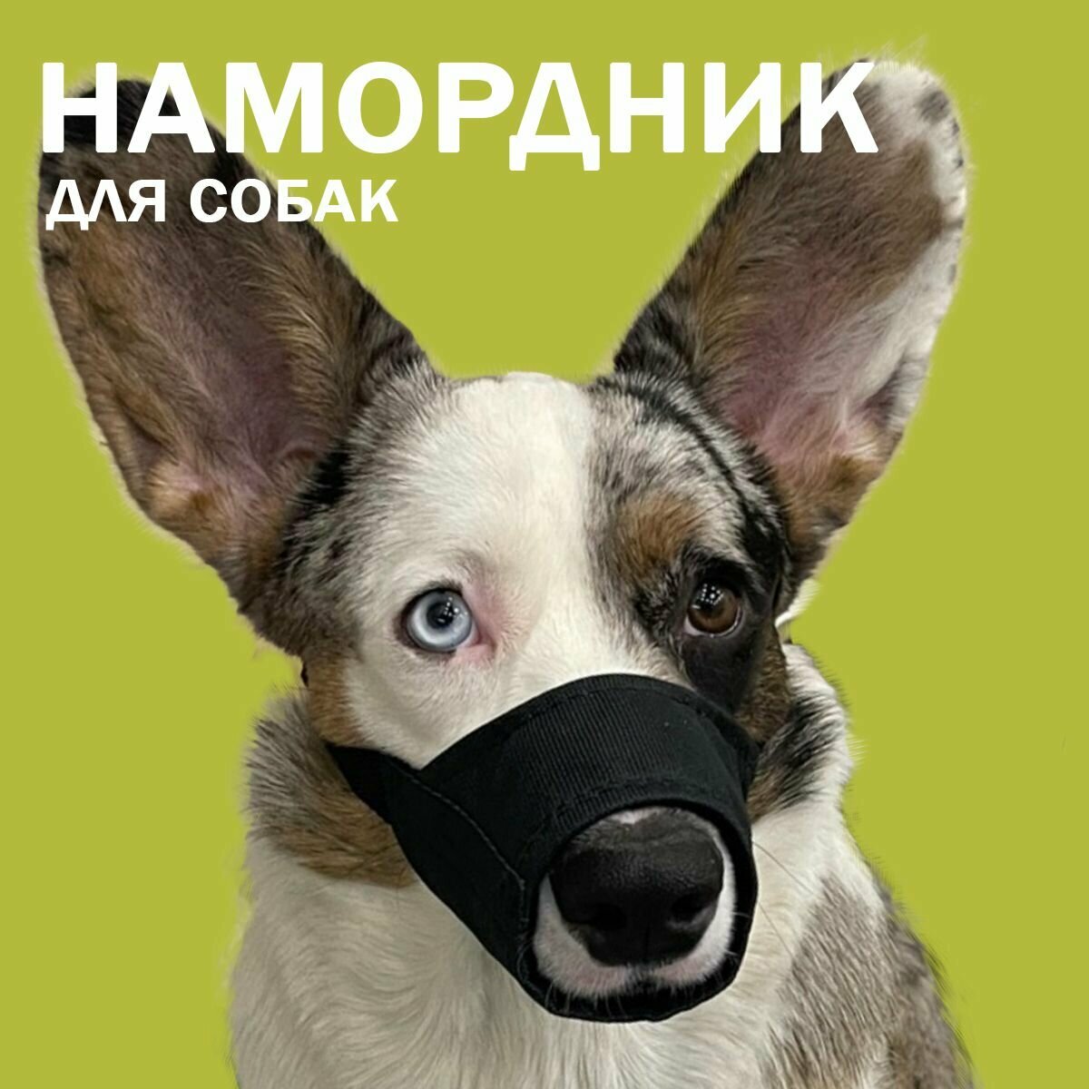 Намордник для собак...