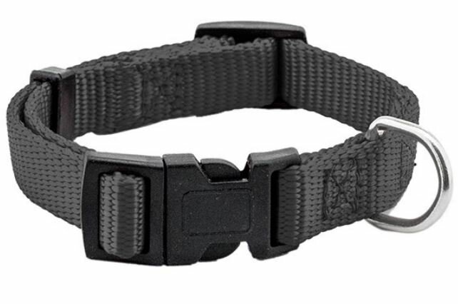Yami-Yami Ошейник Сити черный 25мм, обхват 35-50см