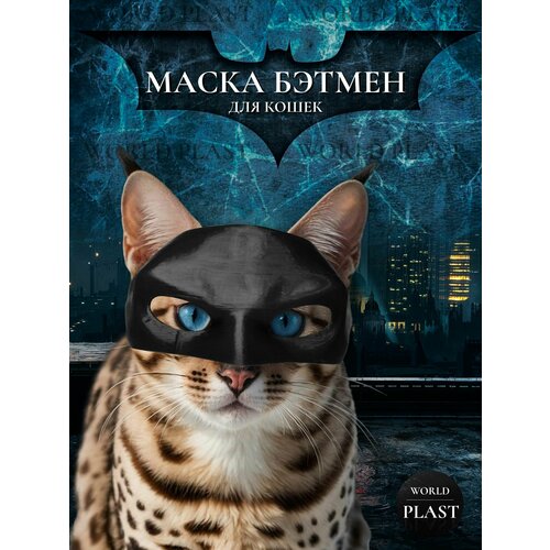 Маска для кота бэтмен. Новый тренд от World Plast. Идеальное украшение для вашего питомца.