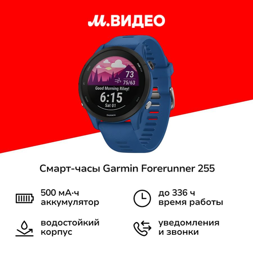 Смарт-часы Garmin Forerunner 255 456мм с синим ремешком 32499₽
