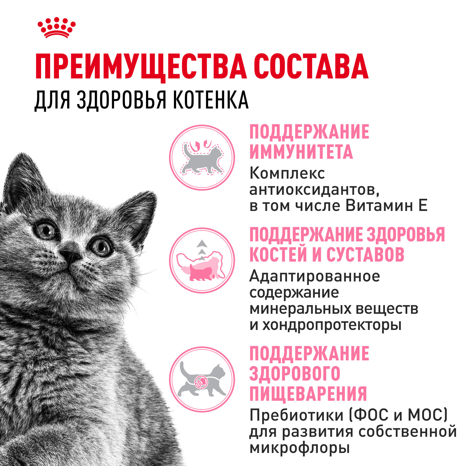 Сухой корм Royal Canin British Shorthair для котят британской породы, курица, 2кг - фото №4