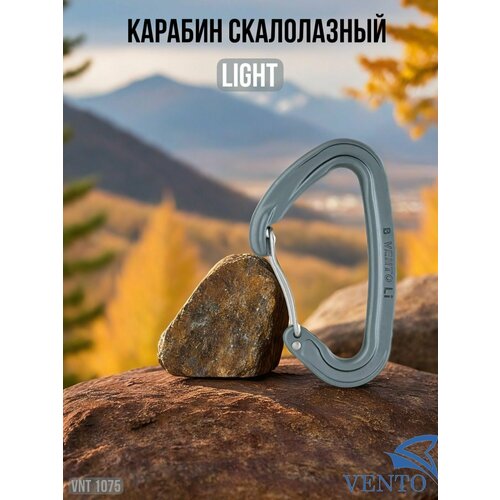 Карабин 