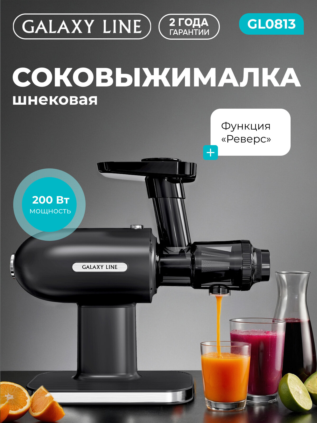 Шнековая соковыжималка GALAXY LINE GL0813, 200Вт, черная, прорезиненные ножки