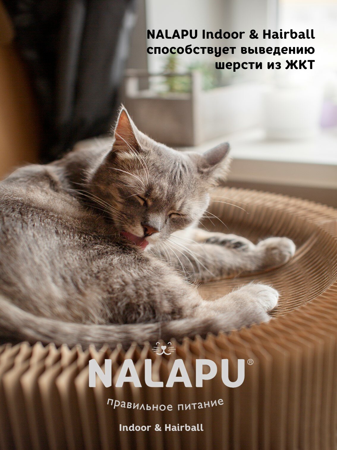 Корм для кошек влажный NALAPU для кошек постоянно живущих в помещении, сочные кусочки с курицей в желе, 12 шт. по 77 г — фото 1