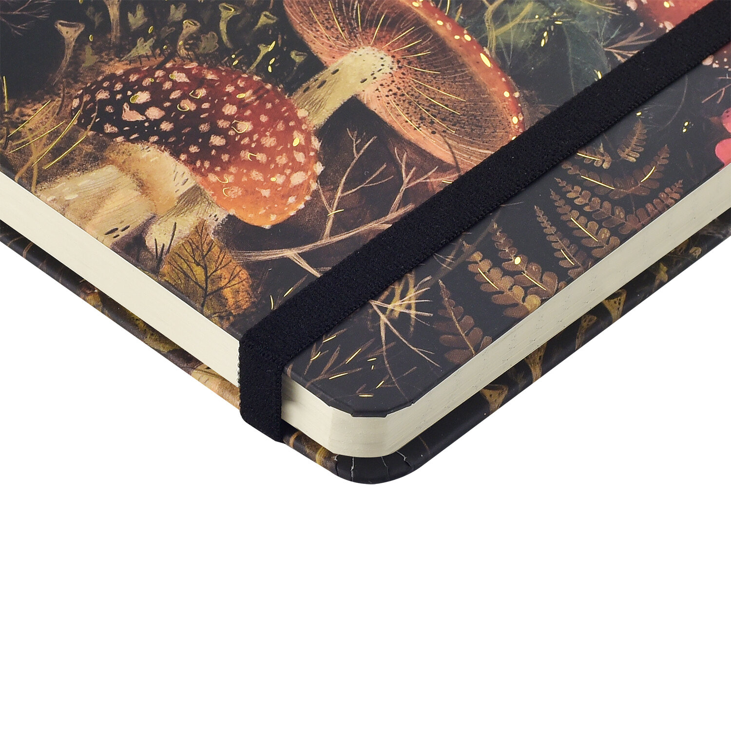 Bruno Visconti Блокнот для записей А5 на резинке "Megapolis Jornal", линейка/ Записная книжка "FOREST FAIRY TALE" 100л. арт.3-479/05 — фото 1