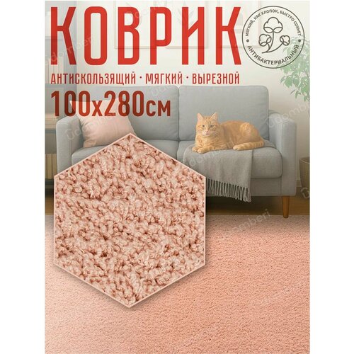 фото Ковер комнатный напольный с ворсом для зала 100х280 vdomberi
