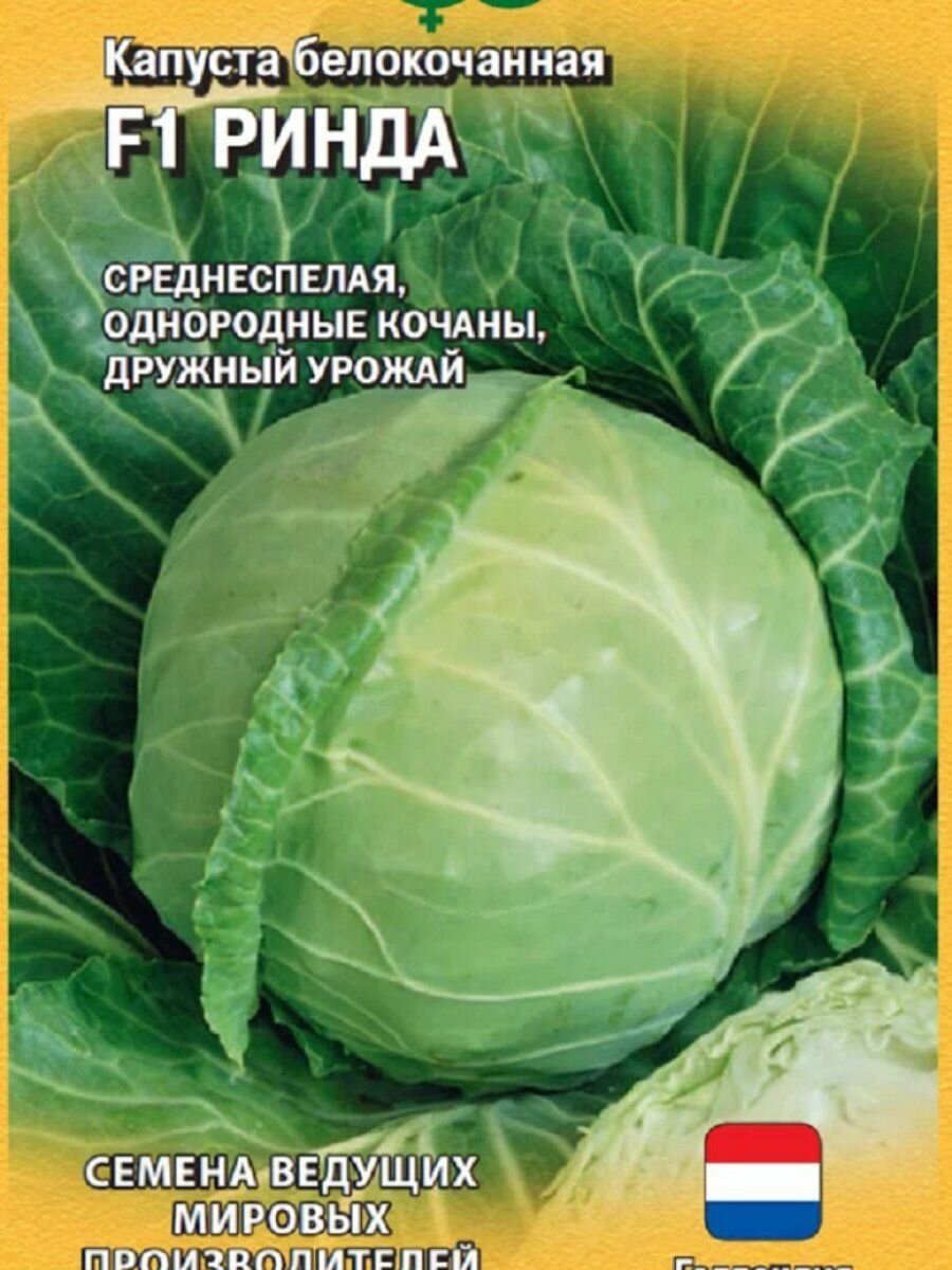 Семена Капуста белокоч. Ринда F1 10 шт. для квашения (Голландия) ЦП Гавриш