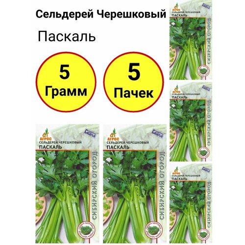 Сельдерей черешковый Паскаль 1г, Агрос - комплект 5 пачек кресс салат курлед 1г агрос комплект 5 пачек