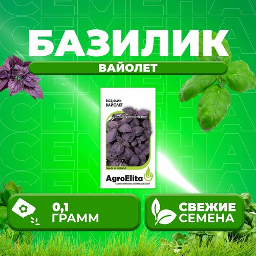 Базилик Вайолет, 0,1г, AgroElita, Wing seed (1 уп) базилик овощной вайолет wing seed 1 гр цв п