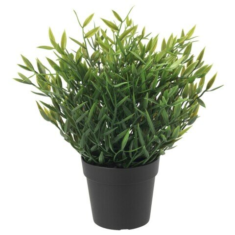 Искусственное растение розмарин икеа фейка, 9 см, зеленый