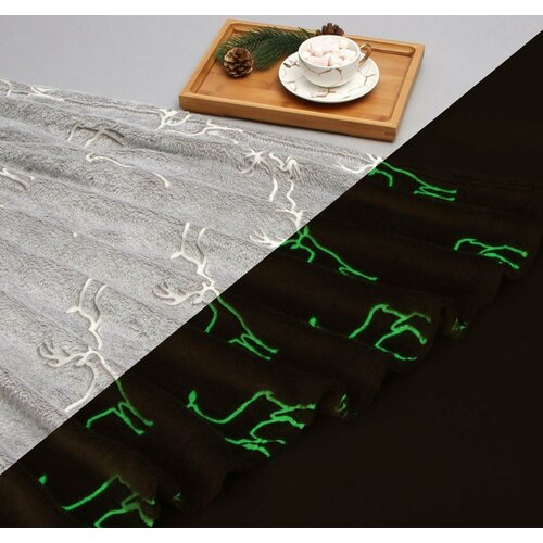 Плед светящийся в темноте Этель Олени 200220 см100 пэ корал-флис 220 грм2 2044₽