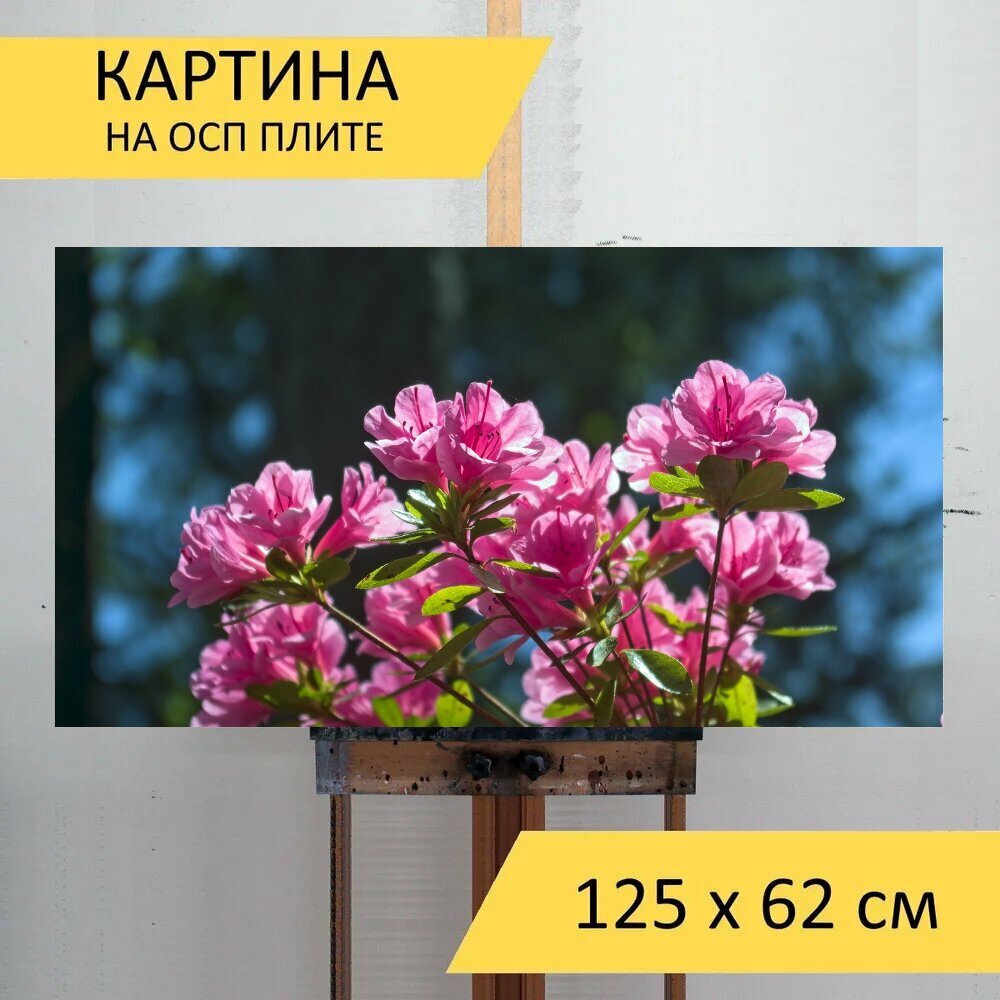 Картина на ОСП 125х62 см. 