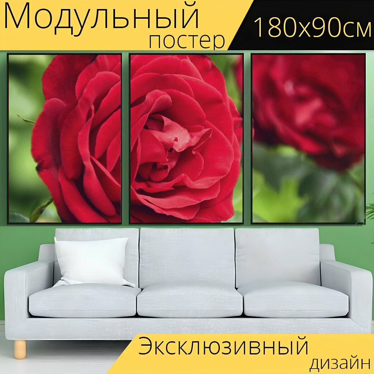 Модульный постер "Роза, цветок, красный" 180 x 90 см. для интерьера