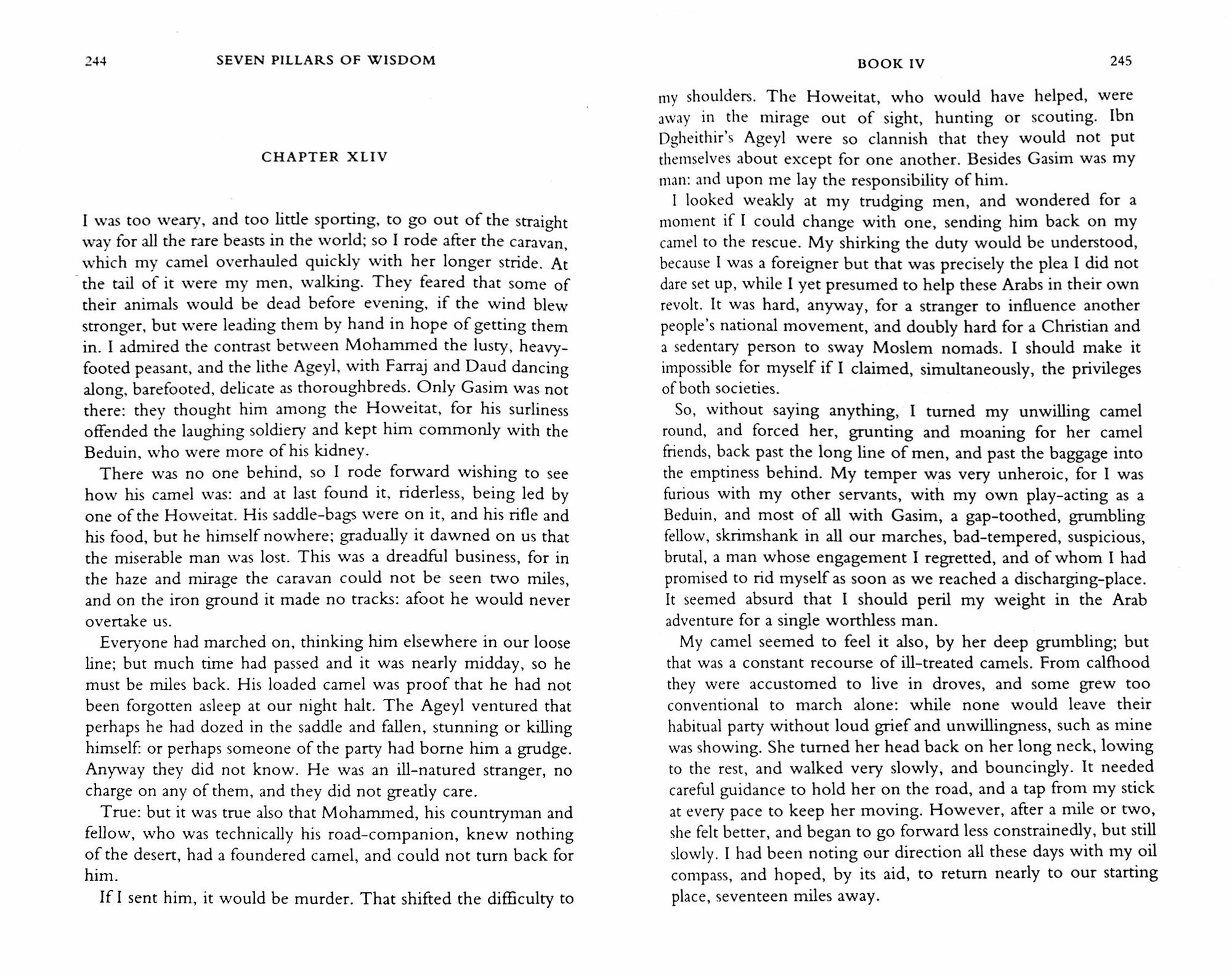 Seven Pillars of Wisdom (Lawrence T. E.) - фото №4