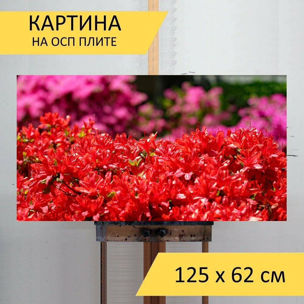 Картина на ОСП 125х62 см. 