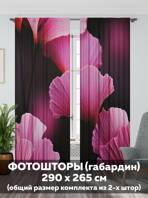 Фотоштора интерьерная для дома с печатью/89122/Mollyn Home/в комнату, в гостиную, в зал, в спальню