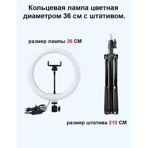 Кольцевая лампа с диаметром 20 см со штативом 139900₽