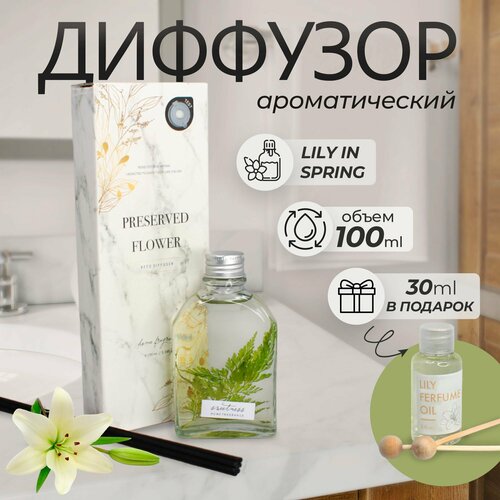 Диффузор ароматический для дома 100мл30мл 550₽