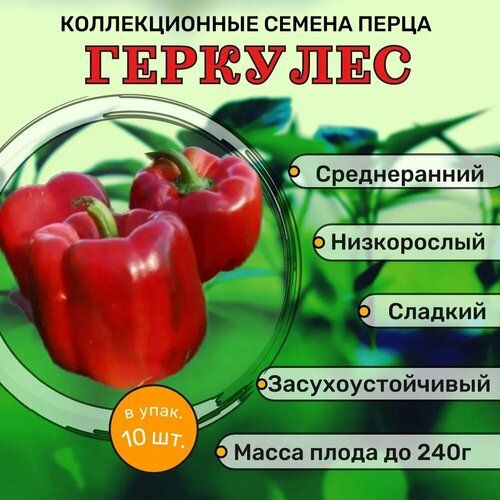 Коллекционные семена перца сладкого Геркулес