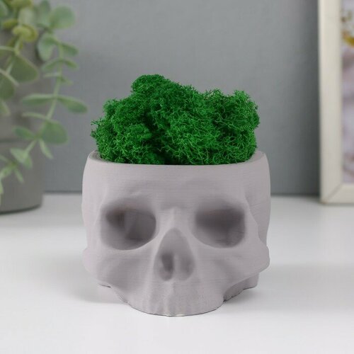 Кашпо бетонное Череп со мхом светло серый 13х9х65 см мох зеленый стабилизированный 1053₽