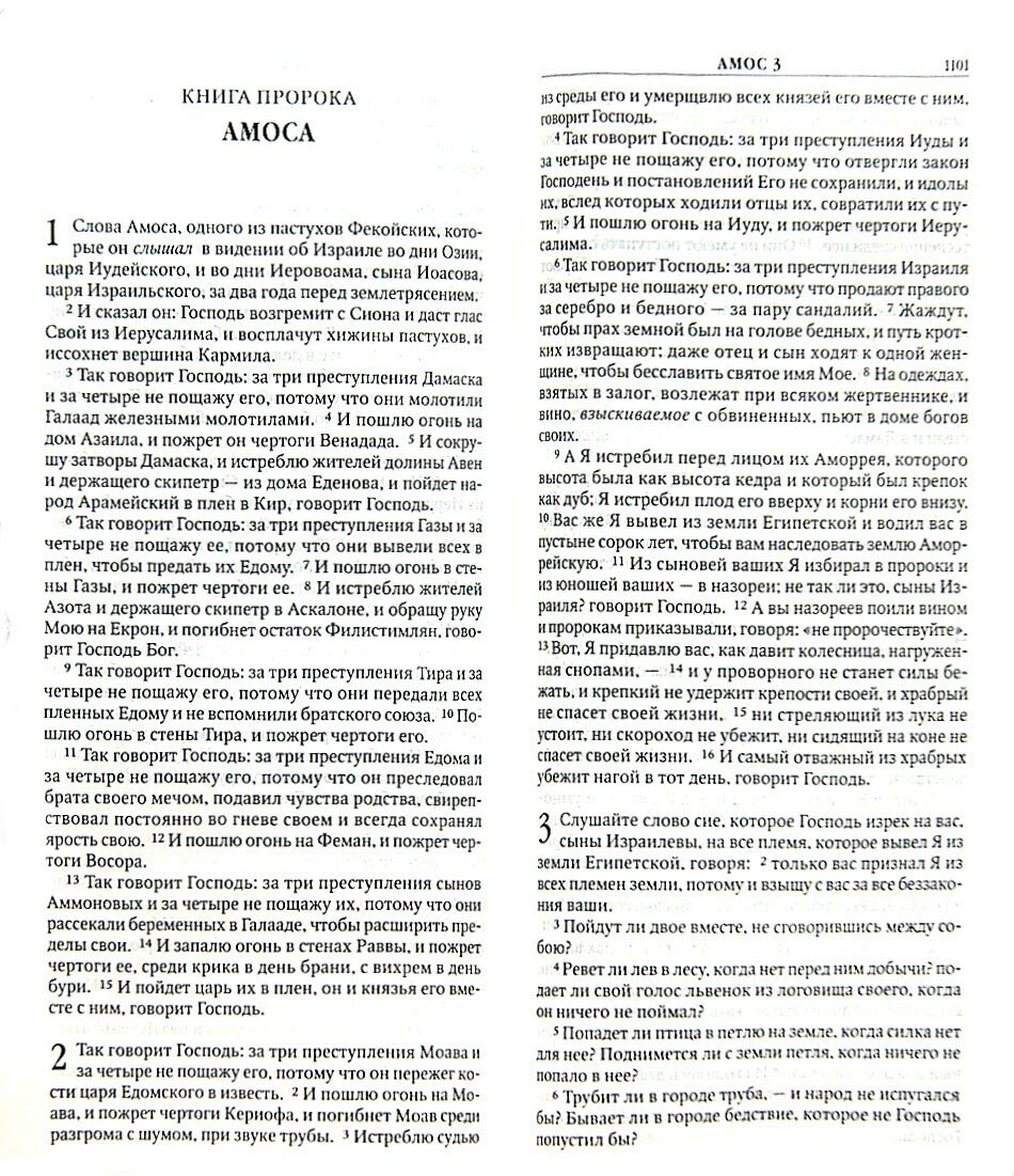 Библия Книги Священного Писания Ветхого и Нового Завета Канонические - фото №10