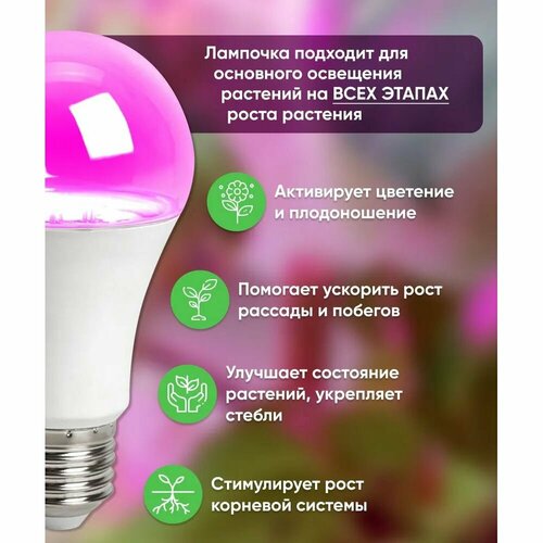 Лампа светодиодная для растений 10W E27 красно-синий спектр LB-7060 белый