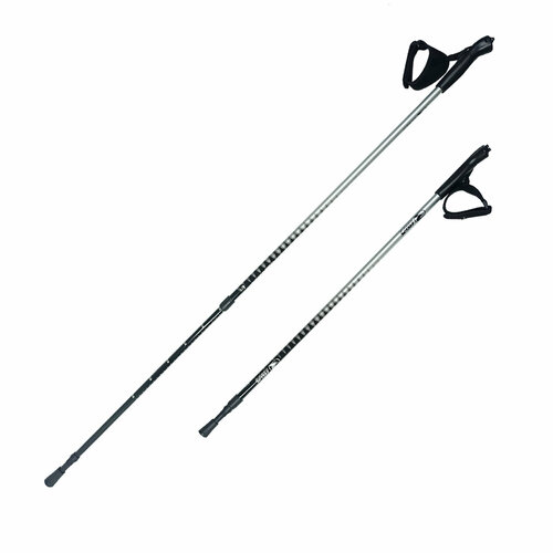 фото Палки для скандинавской ходьбы rgx nws-101 silver