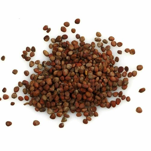 Канихуа (лат. Chenopodium pallidicaule) семена 500шт + подарочек