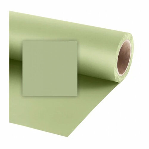 фото Фон бумажный raylab 019 tropical green светло-зеленый 2.72x11 м