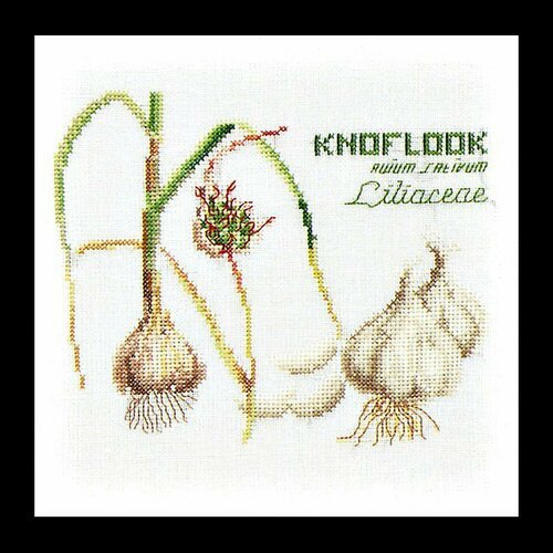 Чеснок (лен) 3043 pomegranate 2 cross stitch kit aida 14ct 11ct count print canvas stitches embroidery diy handmade