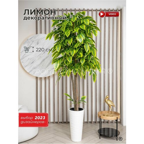 Искусственное дерево лимонное в кашпо для интерьера дома