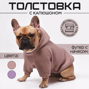 Одежда для собак французский бульдог и мопс, размер 2XL