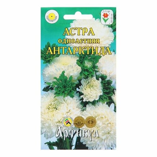 Семена цветов Астра однолетняя Антарктида, 0,2 г ( 1 упаковка )