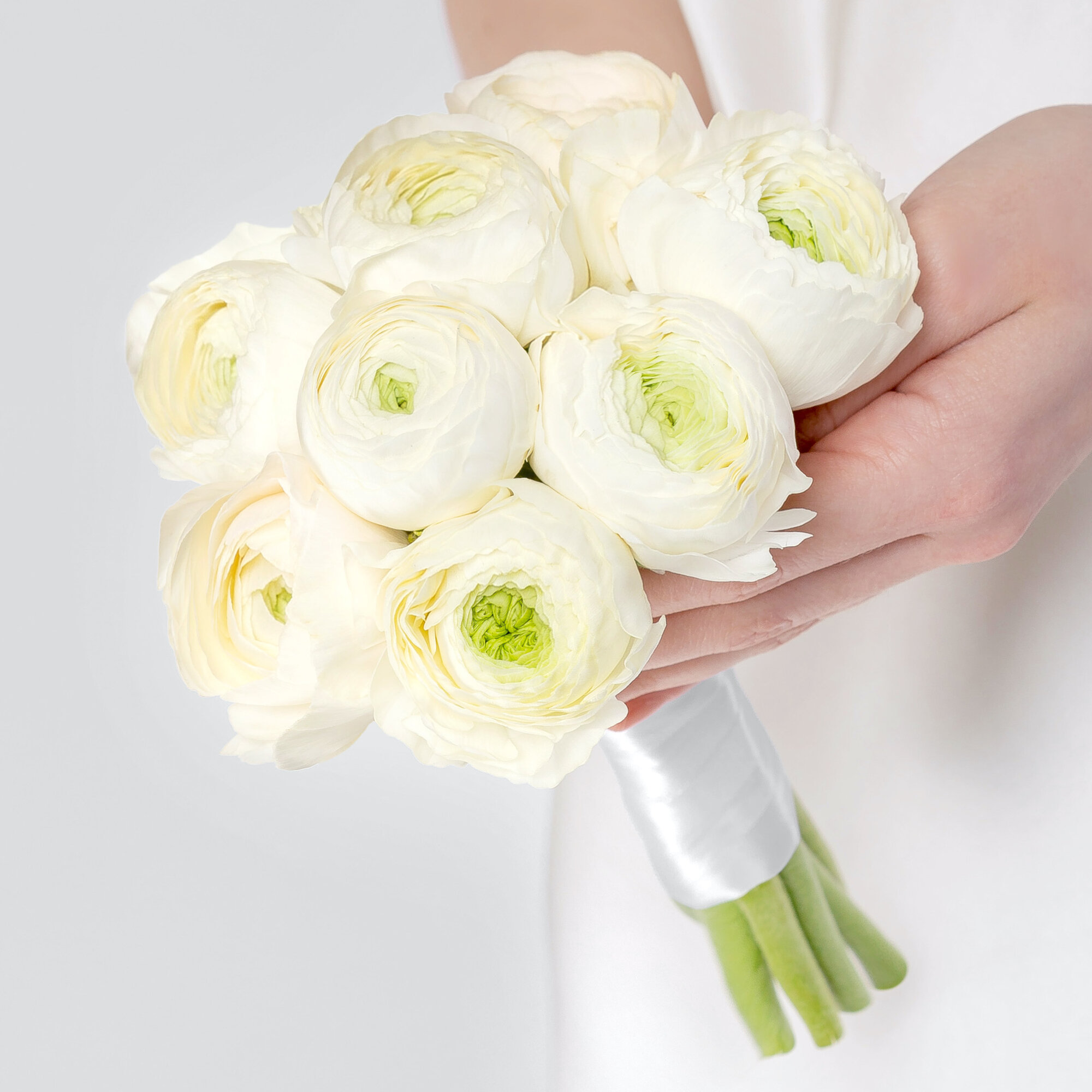 Букет невесты Мегацвет24 "9 Белых Ранункулюсов" белый под лентой