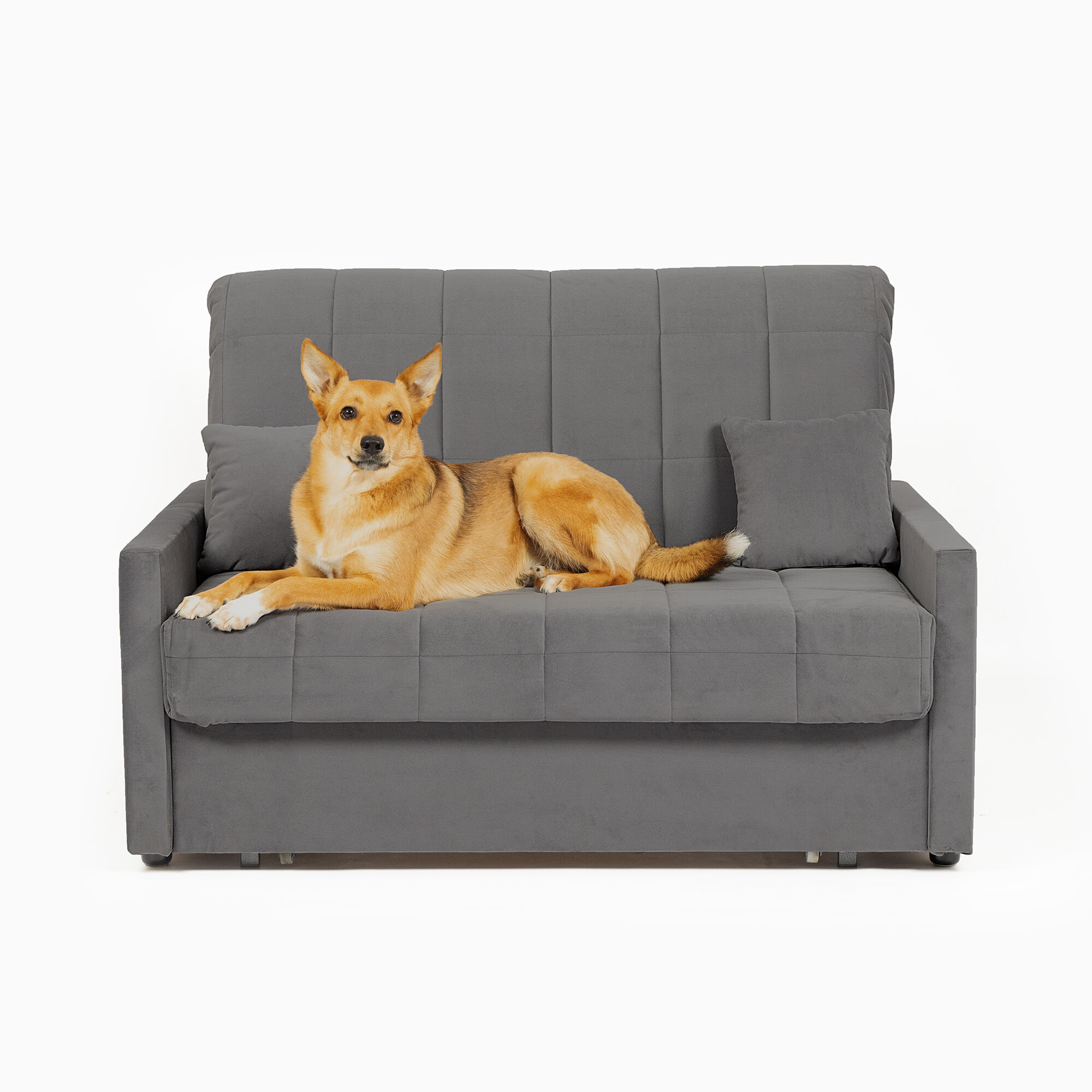 фото Диван -кровать Диван 24 "Ранчи" серый, велюр