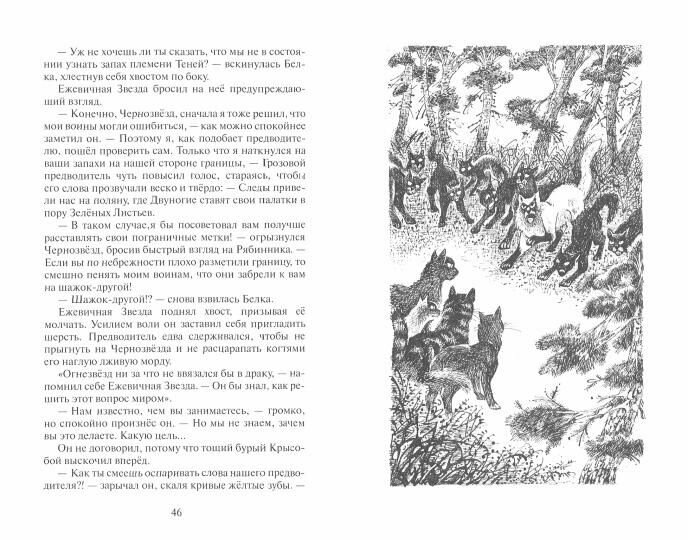 Книга Гроза Ежевичной Звезды. Бедствие - фото №5