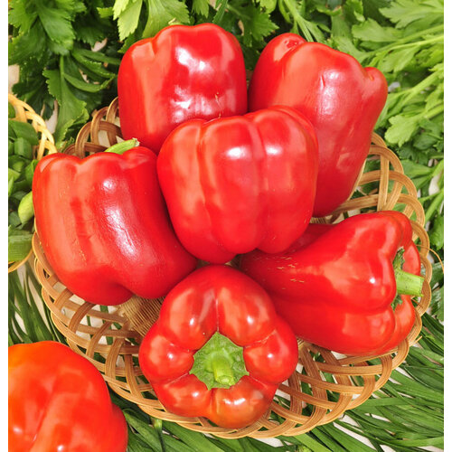 Перец сладкий F1 Фламенко