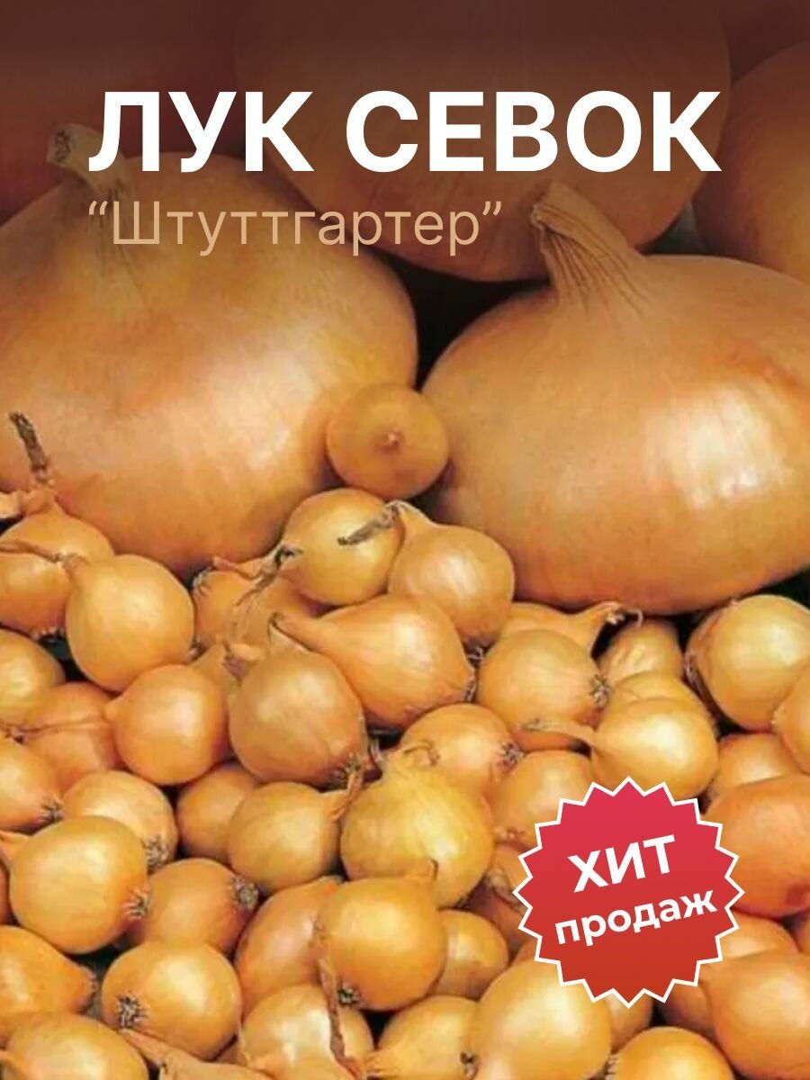 Лук севок на посадку Штуттгартер 1кг