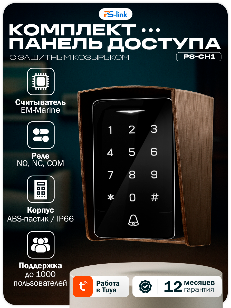 Комплект панели доступа с коричневым защитным козырьком Ps-Link KIT-CH1