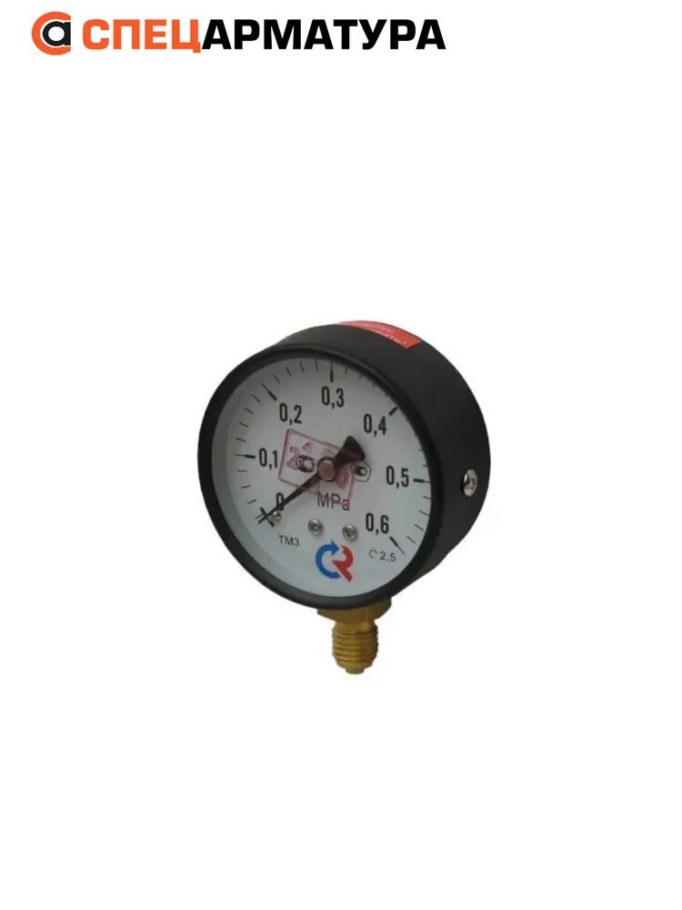 Манометр показывающий технический ТМ-310Р.00(0-0,6MPa)G1/4.2,5