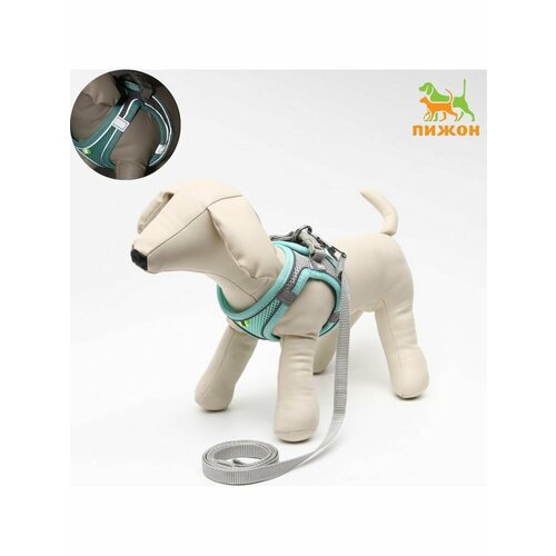 Комплект с мягкой шлейкой, быстросъемный, S, поводок 150 х1,