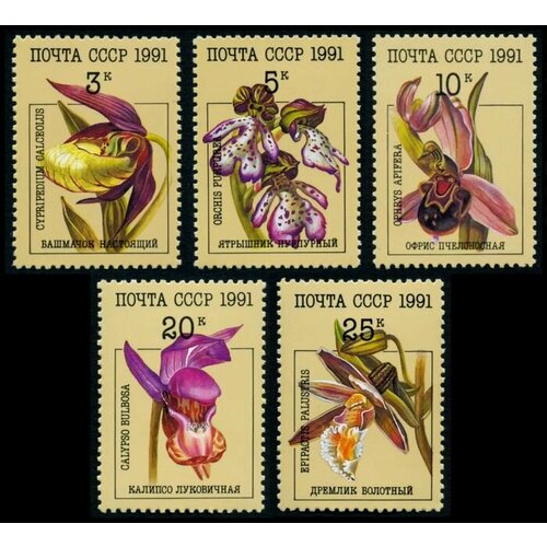 Почтовые марки СССР 1991 г. Флора. Цветы. Орхидеи. Серия из 5 марок. MNH(**)