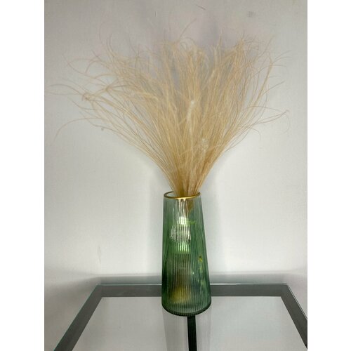 Ковыль бежевый