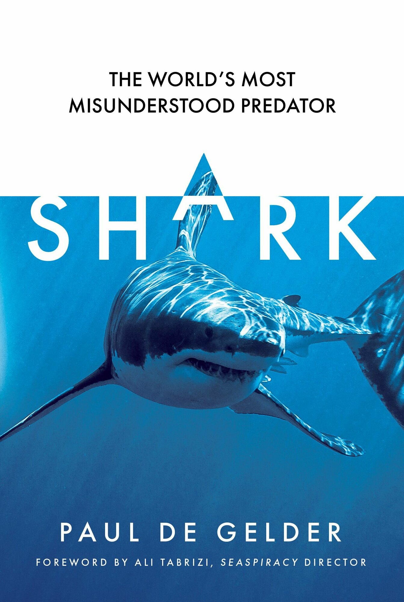 Shark. The world's most misunderstood predator - фото №1