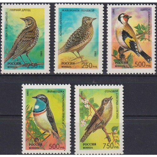Почтовые марки Россия 1995г. Певчие птицы России Птицы MNH